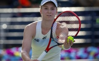 wp header logo17714232071734529795