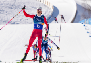 wp header logo1771423208627076117