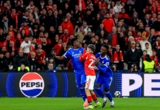 wp header logo17714232301696961661