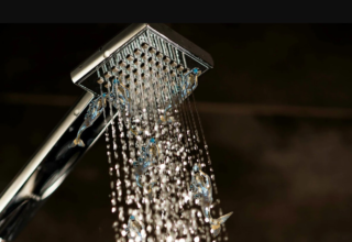 wp header logo17714268081204004382