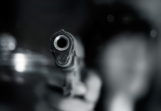 wp header logo1771434009399904254