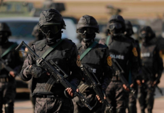 wp header logo1771441213744183638