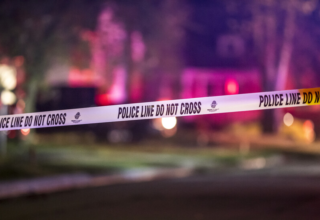 wp header logo1771441226506534370