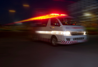 wp header logo1771444811474306452