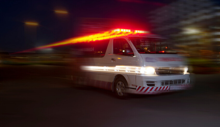 wp header logo1771444811474306452