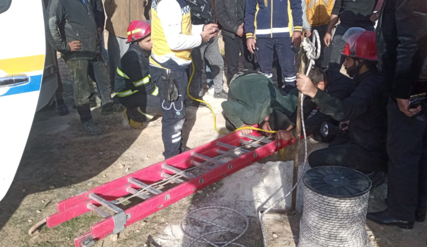 wp header logo177144482417588374