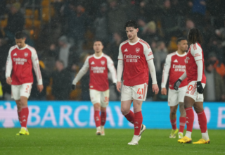 wp header logo17714556151945584041