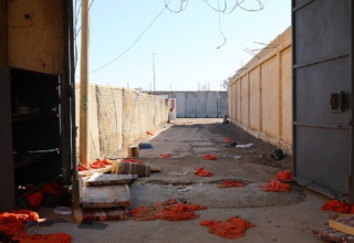 wp header logo1771484440256811267