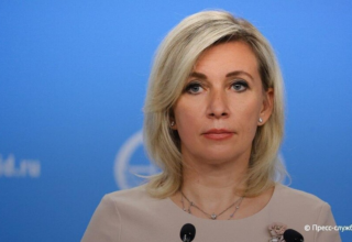 wp header logo1771488049452379074