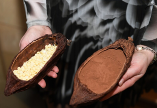 wp header logo1771491616988348988