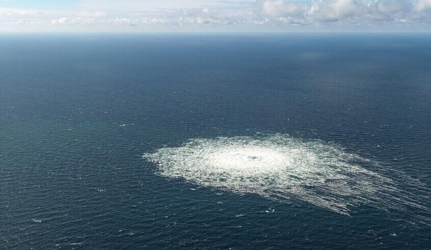 wp header logo1771495245972664924