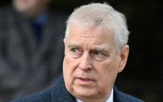 wp header logo1771498819147858537