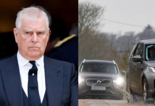 wp header logo17715060341640298437