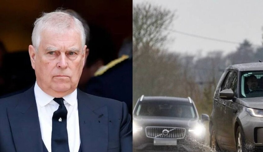 wp header logo17715060341640298437