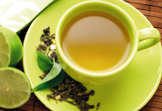 wp header logo17715096082043177452