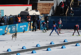 wp header logo17715096292022204684