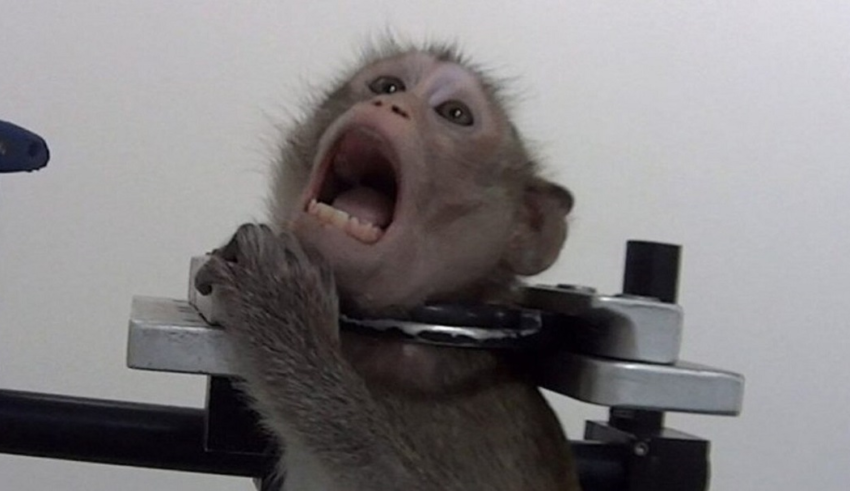 wp header logo17715168311039329118