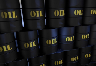 wp header logo17715204421285235122