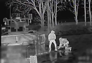 wp header logo1771524070493648978