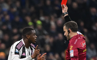 wp header logo1771527608622141290