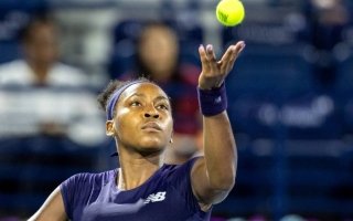 wp header logo17715312081651502483