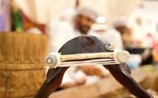 wp header logo1771542008410486949