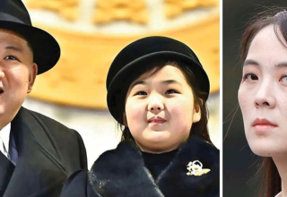 wp header logo17715492131546147526