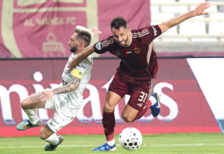 wp header logo1771549222603820852