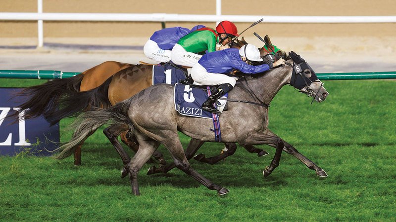 wp header logo1771549232690929772