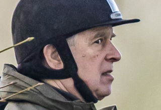 wp header logo17715708741830232883