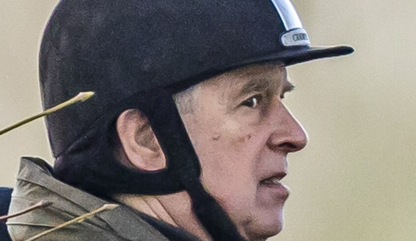 wp header logo17715708741830232883