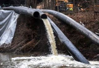 wp header logo1771574467244768984