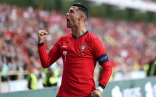 wp header logo1771588809329438