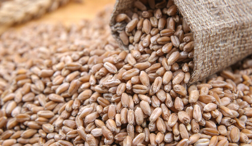 wp header logo17715888221999877992