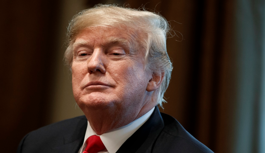 wp header logo1771603210730988030