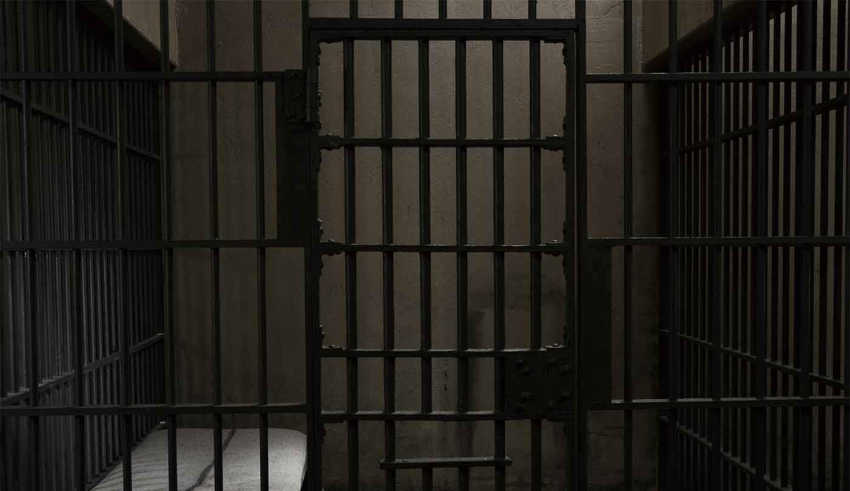 wp header logo17716032251250821237