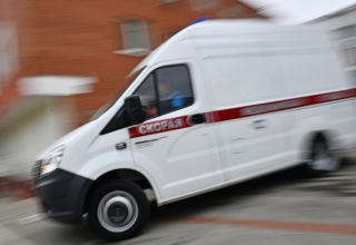 wp header logo17716032301298596586