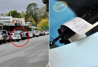 wp header logo17716032331763343566