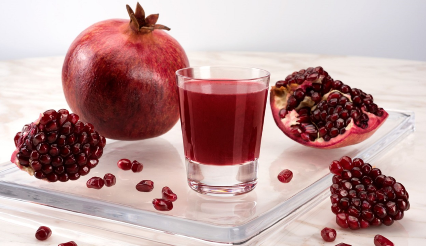 wp header logo17716032381413150237