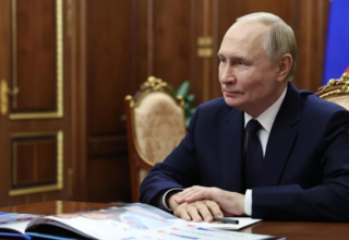 wp header logo17716032931318462568