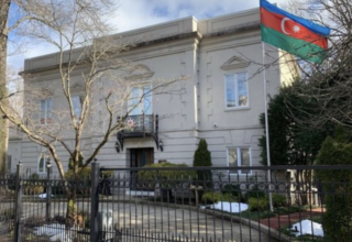 wp header logo1771606839461351666