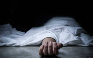 wp header logo1771610411258942338