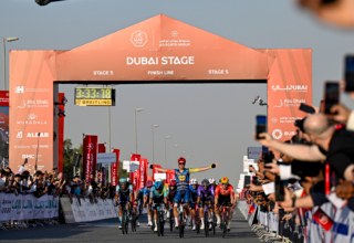 wp header logo177161042454617619