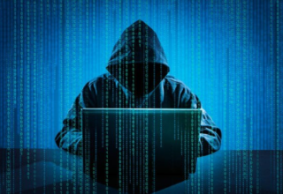 wp header logo17716212121919783186