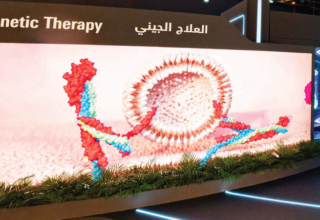 wp header logo1771621216547712585