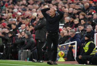 wp header logo17716248111744355623