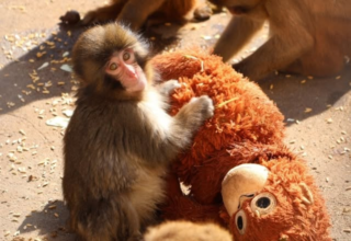 wp header logo1771624812638790007