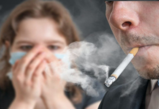 wp header logo177162481623990267