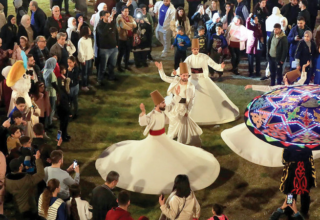 wp header logo17716356121298805922