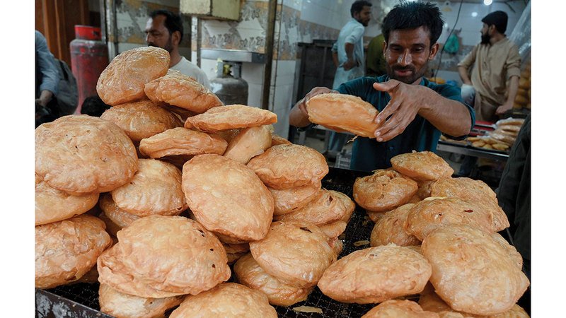 wp header logo17716356172109811992